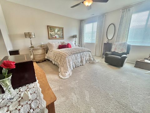 Tiny photo for 1074 Chestnut Drive, Pingree Grove, IL 60140 (MLS # 12693862)