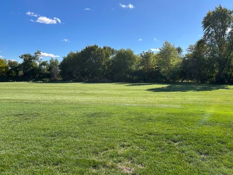 Tiny photo for 216 S Mcguire Drive, Manteno, IL 60950 (MLS # 12502817)