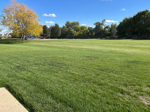 Tiny photo for 216 S Mcguire Drive, Manteno, IL 60950 (MLS # 12502817)