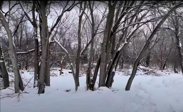 HEIDEN AVE, CREST HILL, IL 60403 - Image bade5014b2fc5101d0b2bbc29e43cecb/2596379269