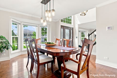 Tiny photo for 127 Michelle Place, Schaumburg, IL 60173 (MLS # 12731825)