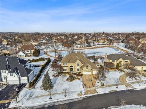 Tiny photo for 10624 Great Egret Drive, Orland Park, IL 60467 (MLS # 12550948)