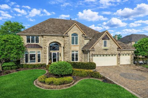 10624 Great Egret Drive Orland Park IL 60467