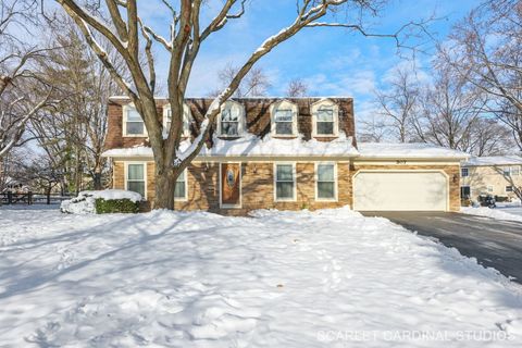 307 Leeds Court Naperville IL 60565