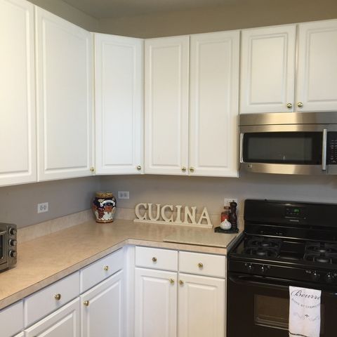 Tiny photo for 448 Cannon Street #448, Geneva, IL 60134 (MLS # 12471593)