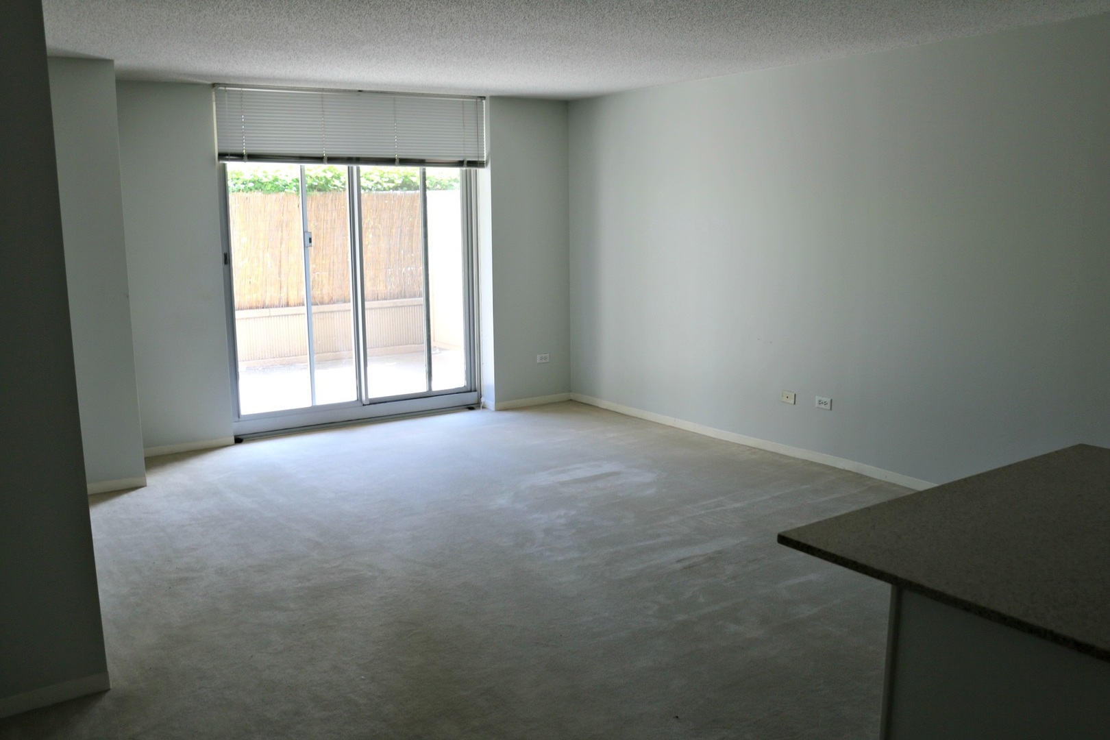 545 N Dearborn Street W909