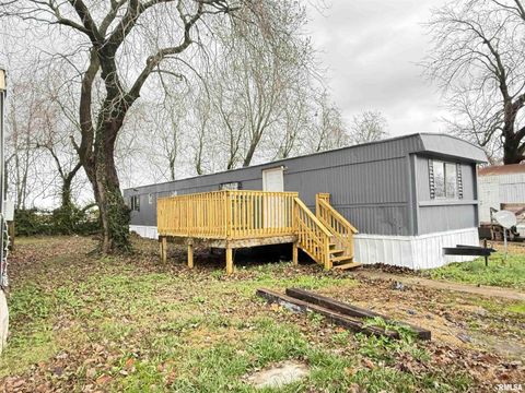 Photo of 2520 NEW ERA Road #13, Carbondale, IL 62901 (MLS # EB460600)