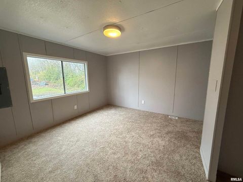 Tiny photo for 2520 NEW ERA Road #13, Carbondale, IL 62901 (MLS # EB460600)