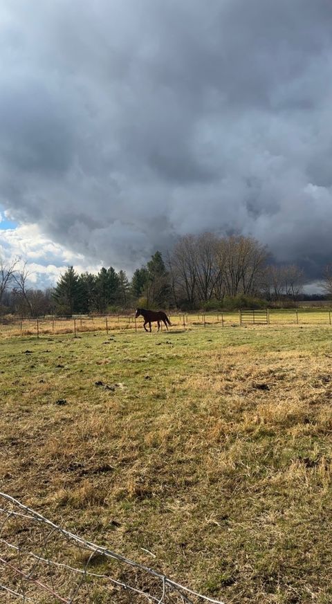 Tiny photo for 1982 N Meridian Road, Rockford, IL 61101 (MLS # 12604421)