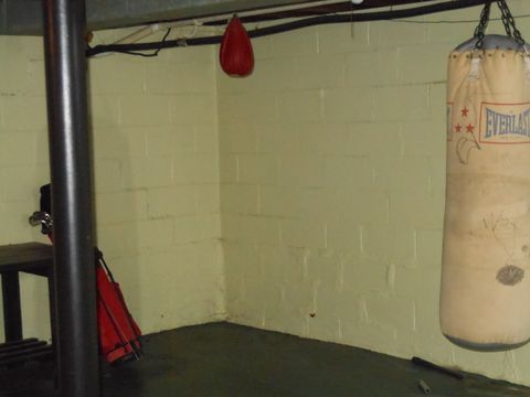 Tiny photo for 710 Ingalls Avenue, Joliet, IL 60435 (MLS # 12493670)