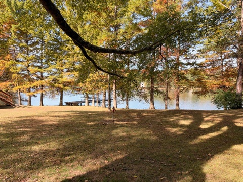 Tiny photo for 15473 Lake Moses Lane, Benton, IL 62812 (MLS # 12793614)