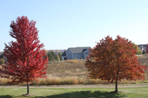 Tiny photo for 430 Alberosky Way, Batavia, IL 60510 (MLS # 12749637)