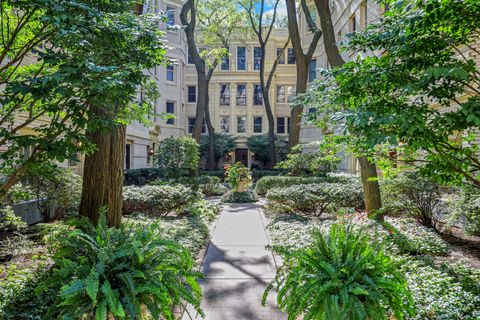 431 W ALDINE Avenue 10 Chicago IL 60657