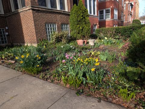 Tiny photo for 1326 W Albion Avenue #1, Chicago, IL 60626 (MLS # 12562259)