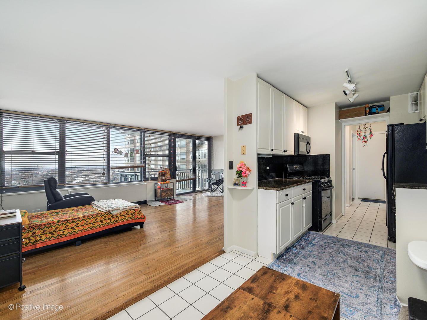 3430 N Lake Shore Drive 15M