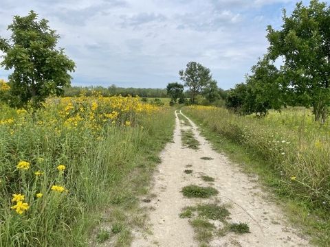 Tiny photo for Sleepy Hollow, IL 60118 (MLS # 12512387)