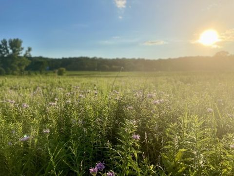 Tiny photo for Sleepy Hollow, IL 60118 (MLS # 12512387)