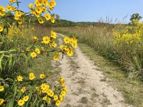 Tiny photo for Sleepy Hollow, IL 60118 (MLS # 12512387)