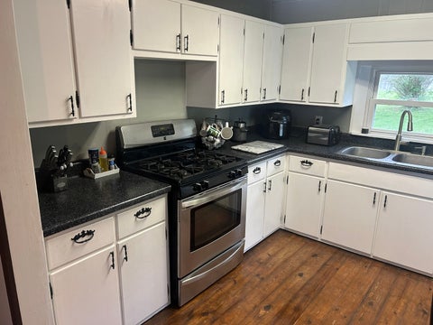 Tiny photo for 1 Bushwack Road, Golconda, IL 62938 (MLS # 12652618)