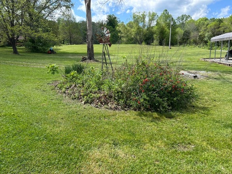 Tiny photo for 1 Bushwack Road, Golconda, IL 62938 (MLS # 12652618)