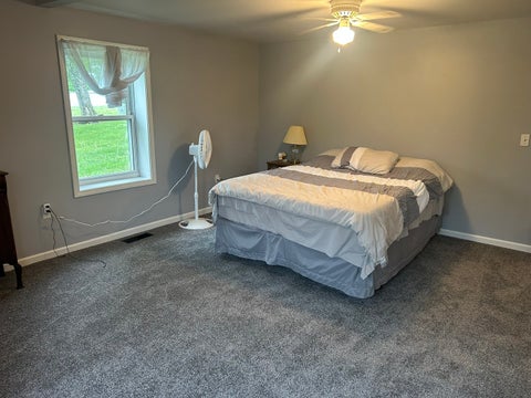 Tiny photo for 1 Bushwack Road, Golconda, IL 62938 (MLS # 12652618)