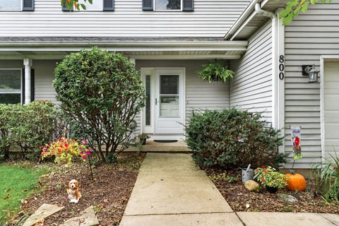Tiny photo for 800 Birch Street, Algonquin, IL 60102 (MLS # 12778870)