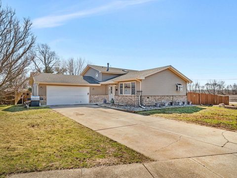 Photo of 801 Phyllis Drive, Wilmington, IL 60481 (MLS # 12588882)