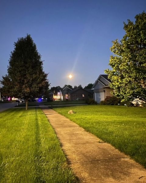 Tiny photo for 801 Phyllis Drive, Wilmington, IL 60481 (MLS # 12588882)