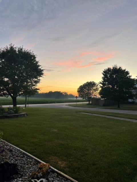 Tiny photo for 801 Phyllis Drive, Wilmington, IL 60481 (MLS # 12588882)