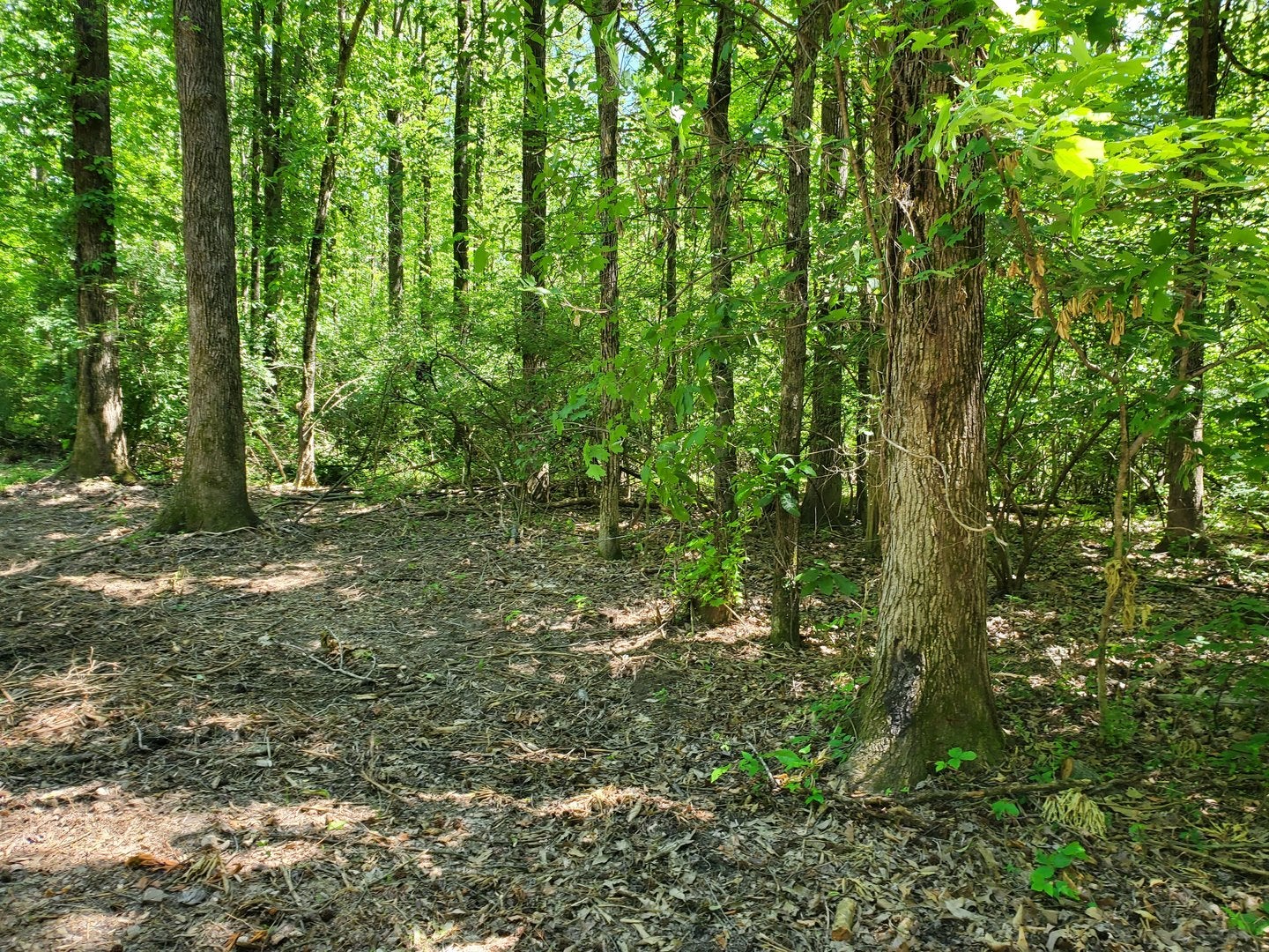 000 DELAWARE Road