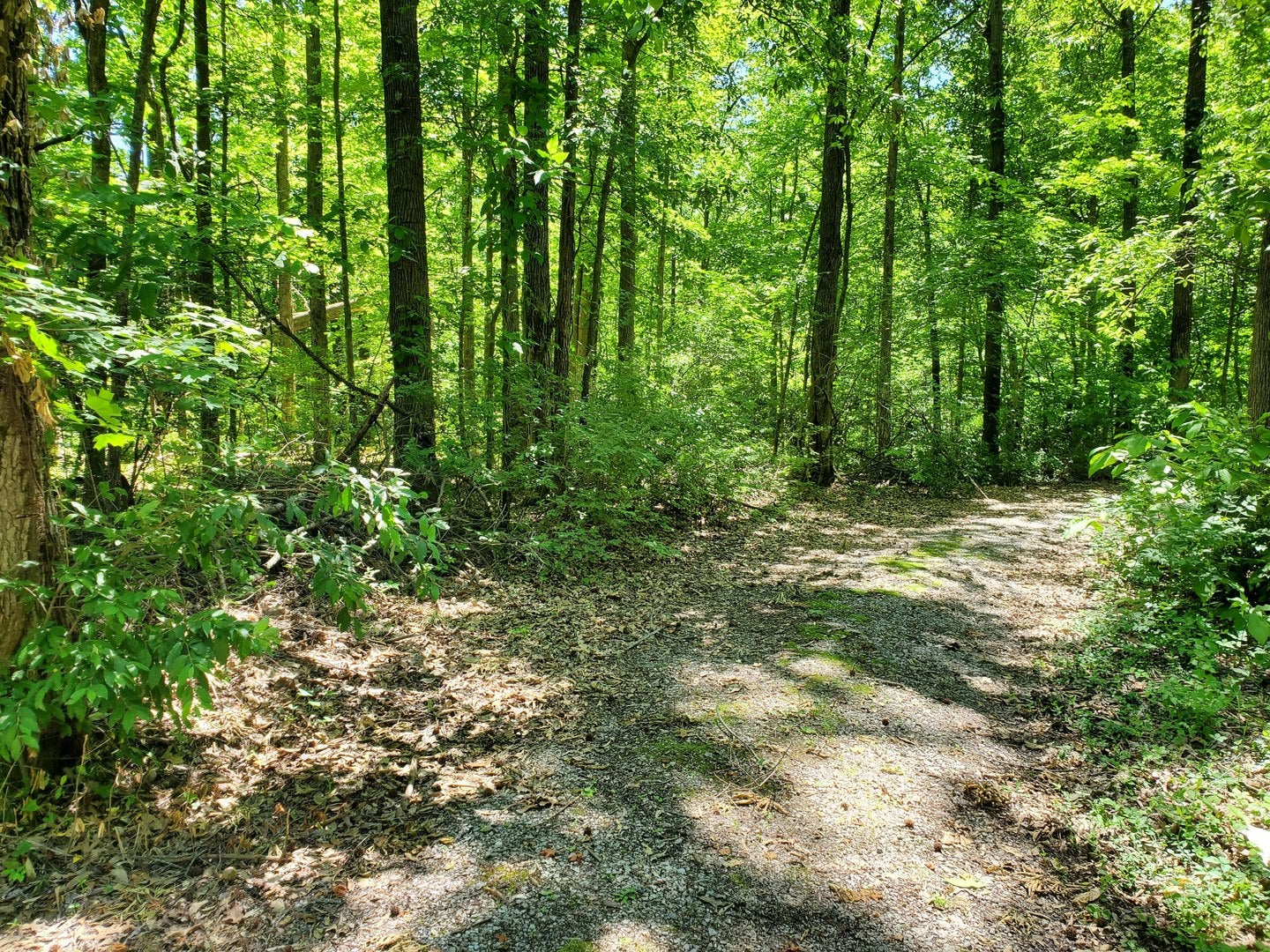 000 DELAWARE Road