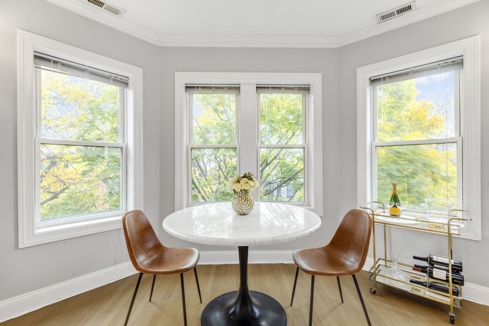 1250 W Cornelia Avenue 3S