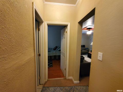 Tiny photo for 504 N ALMOND Street, Carbondale, IL 62901 (MLS # EB458463)