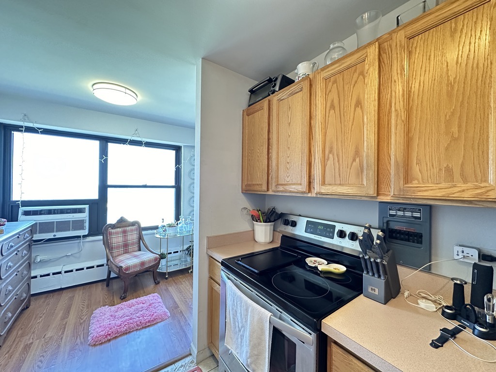 3410 N LAKE SHORE Drive 12F