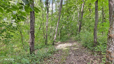 Tiny photo for 2796 US Highway 51 Highway, Clinton, IL 61727 (MLS # 12725982)
