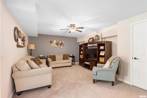 Tiny photo for 524 N MAIN Street, Jonesboro, IL 62952 (MLS # EB460392)