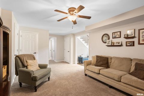 Tiny photo for 524 N MAIN Street, Jonesboro, IL 62952 (MLS # EB460392)