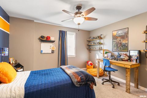 Tiny photo for 524 N MAIN Street, Jonesboro, IL 62952 (MLS # EB460392)