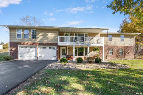 Tiny photo for 524 N MAIN Street, Jonesboro, IL 62952 (MLS # EB460392)