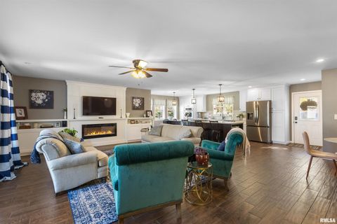 Tiny photo for 524 N MAIN Street, Jonesboro, IL 62952 (MLS # EB460392)