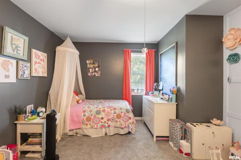 Tiny photo for 524 N MAIN Street, Jonesboro, IL 62952 (MLS # EB460392)