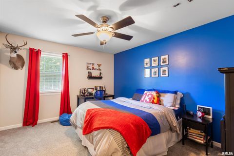 Tiny photo for 524 N MAIN Street, Jonesboro, IL 62952 (MLS # EB460392)