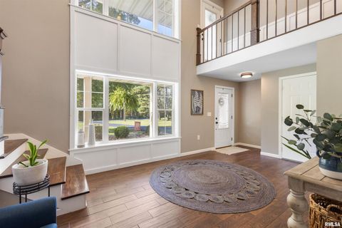 Tiny photo for 524 N MAIN Street, Jonesboro, IL 62952 (MLS # EB460392)