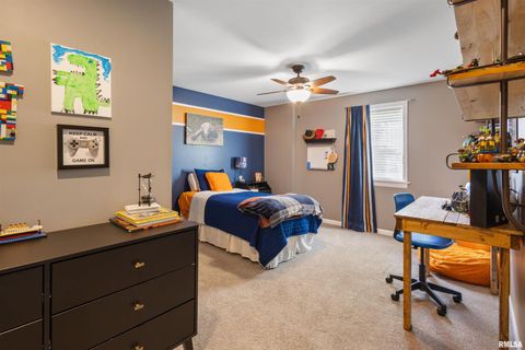 Tiny photo for 524 N MAIN Street, Jonesboro, IL 62952 (MLS # EB460392)