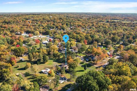 Tiny photo for 524 N MAIN Street, Jonesboro, IL 62952 (MLS # EB460392)