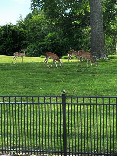 Tiny photo for 403 Oakwood Drive, Carterville, IL 62918 (MLS # 12582225)