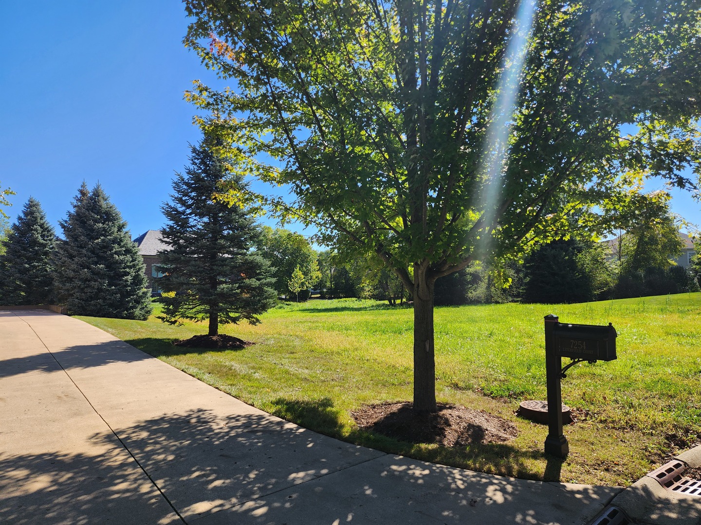 7253 Litchfield Court