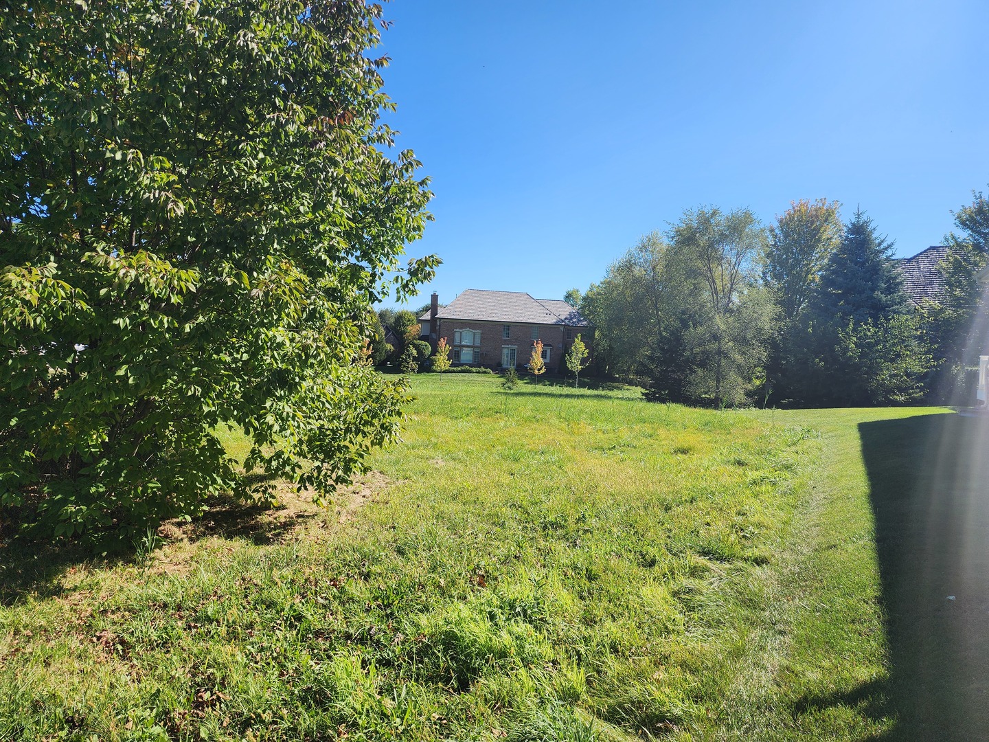 7253 Litchfield Court