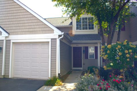 Photo of 2219 Waterleaf Court #203, Naperville, IL 60564 (MLS # 12470210)