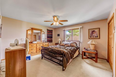 Tiny photo for 13017 W Hiawatha Drive, Homer Glen, IL 60491 (MLS # 12462812)